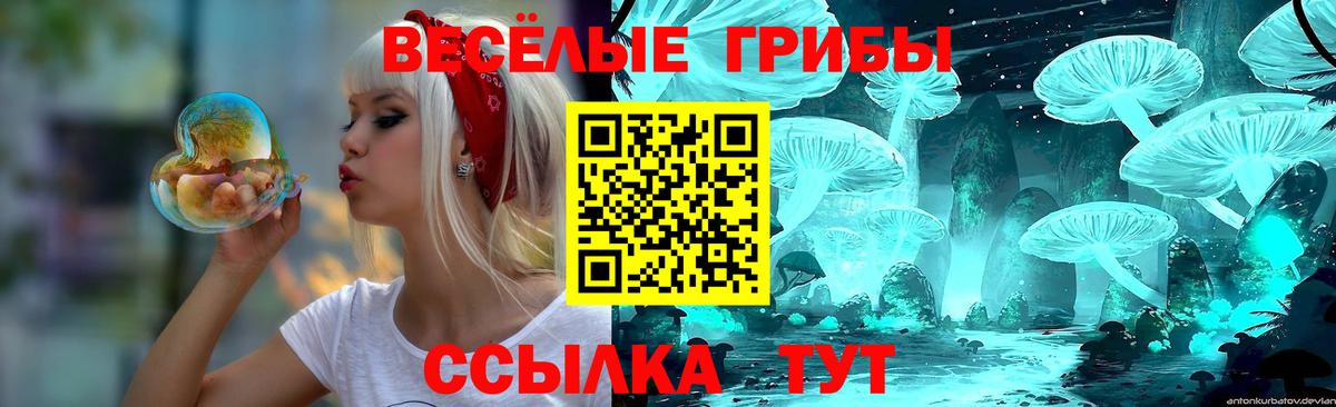 Галлюциногенные грибы Magic Shrooms  Вход с VPN  Урюпинск  Псилоцибиновые грибы GOLDEN TEACHER 